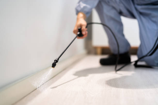 Licensed Pest Control service in Hallam, PA - Show Me Pest Control