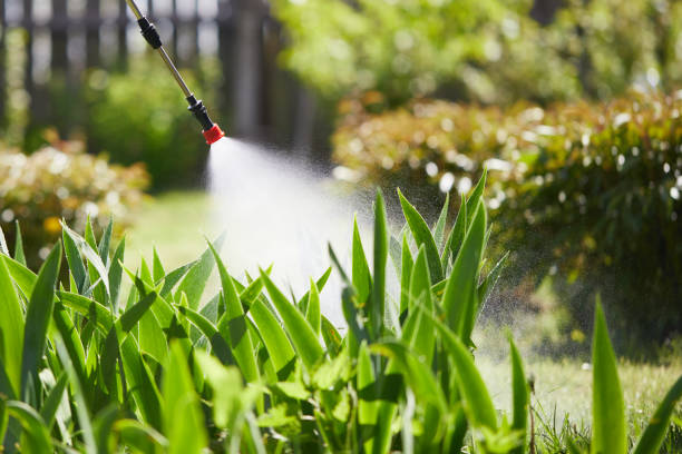 Tamper-Resistant Bait Stations for Rodents in Hallam