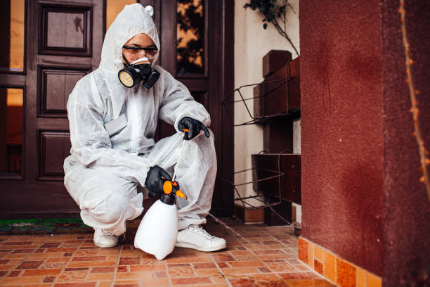 Attic and Crawl Space Rodent Treatment in Hallam